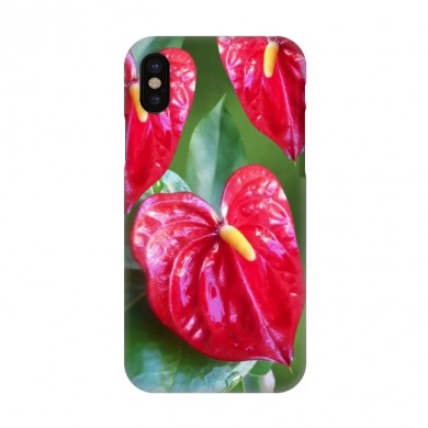 Best Buy: ArtsCase StrongFit Designer Case Bloomy Garden for iPhone 13 Pro  max Blue Flowers AC-01993257