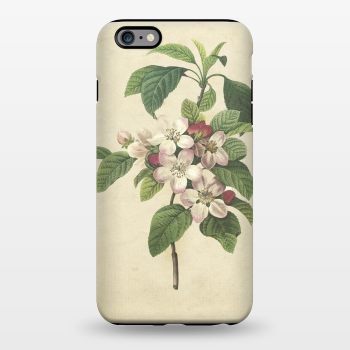 iPhone 6/6s plus StrongFit Vintage Apple Blossom Painting by Andrea Haase
