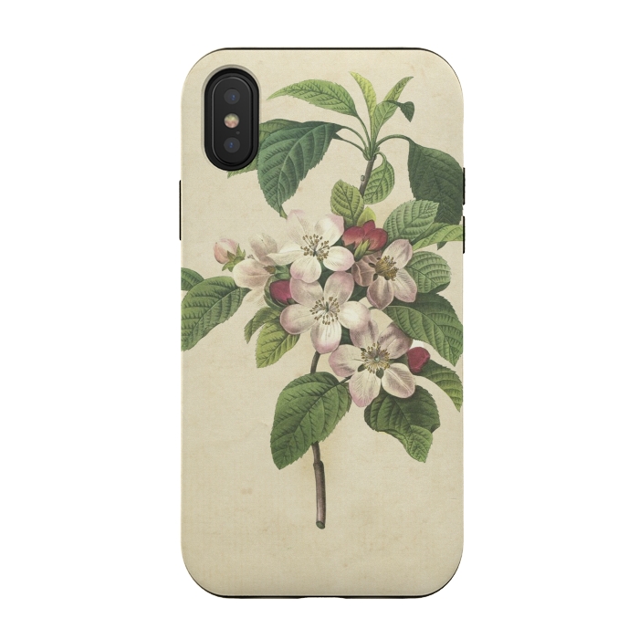 iPhone Xs / X StrongFit Vintage Apple Blossom Painting by Andrea Haase