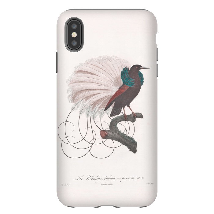 iPhone Xs Max StrongFit Extravagant Vintage  Bird by Andrea Haase