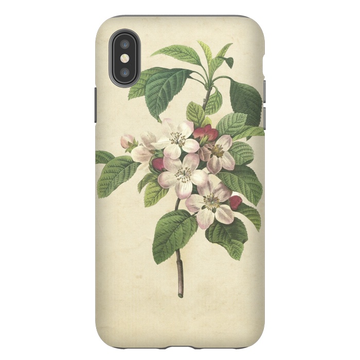 iPhone Xs Max StrongFit Vintage Apple Blossom Painting by Andrea Haase