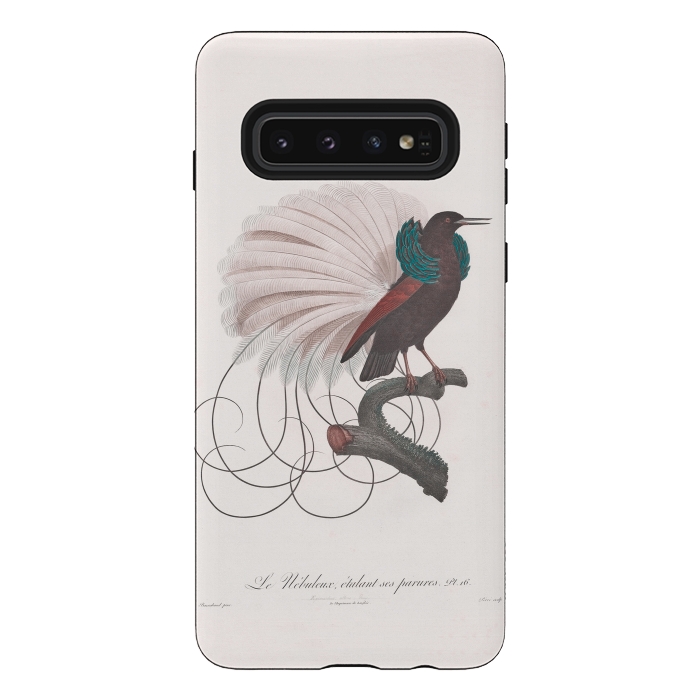 Galaxy S10 StrongFit Extravagant Vintage  Bird by Andrea Haase