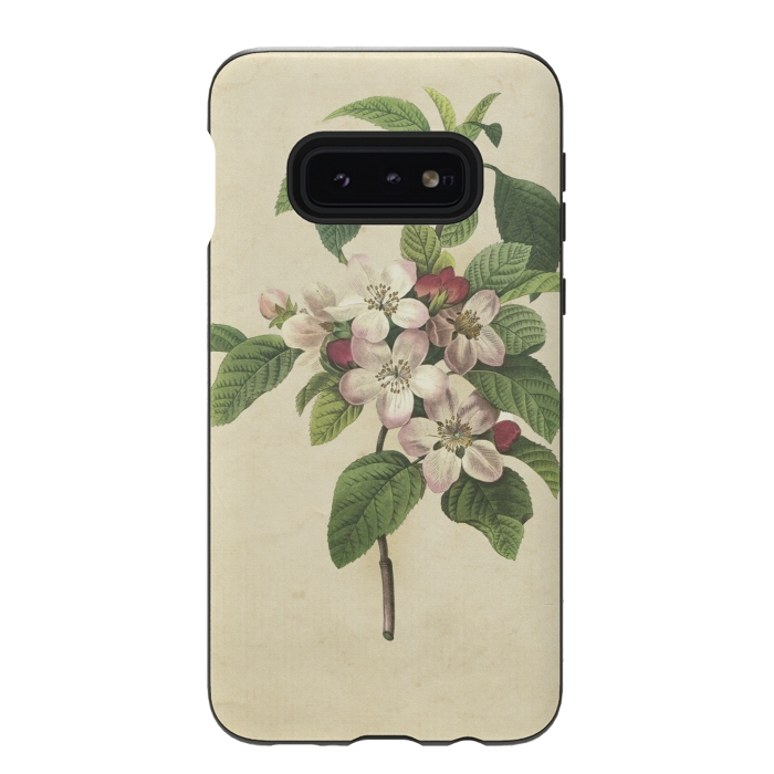 Galaxy S10e StrongFit Vintage Apple Blossom Painting by Andrea Haase