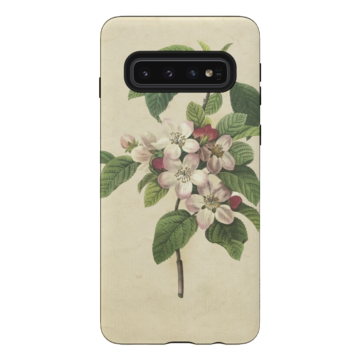 Galaxy S10 StrongFit Vintage Apple Blossom Painting by Andrea Haase