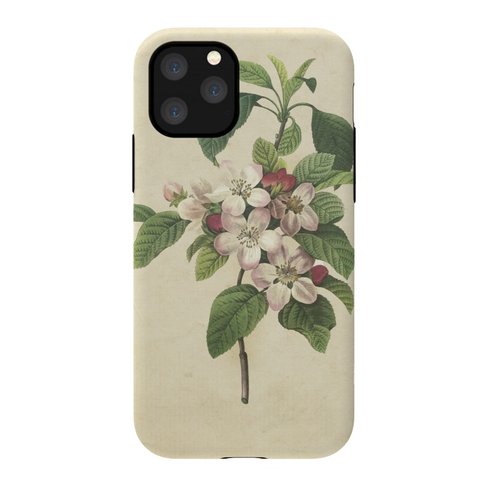 iPhone 11 Pro StrongFit Vintage Apple Blossom Painting by Andrea Haase