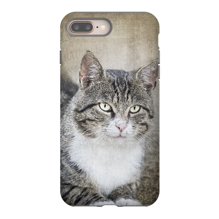 iPhone 8 plus StrongFit Friendly Cat Mixed Media Art by Andrea Haase