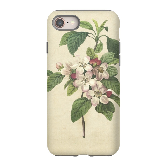 iPhone 8 StrongFit Vintage Apple Blossom Painting by Andrea Haase