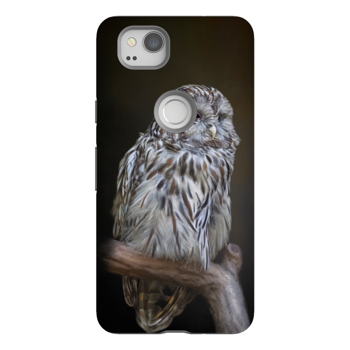 Pixel 2 StrongFit A lovely cute painted owl with a brown background by Simone Gatterwe
