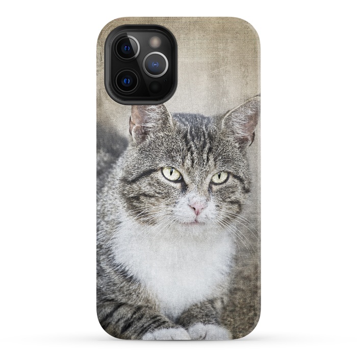 iPhone 12 Pro StrongFit Friendly Cat Mixed Media Art by Andrea Haase