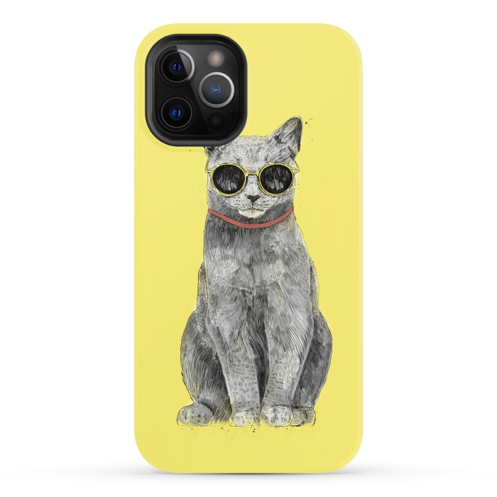 iPhone 12 Pro StrongFit Summer Cat by Balazs Solti