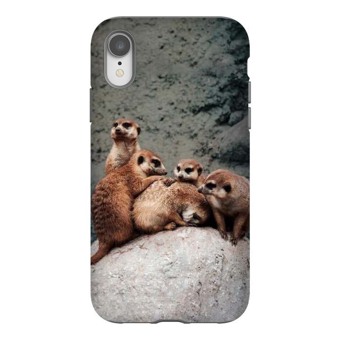 iPhone Xr StrongFit Meerkat family by Laura Nagel
