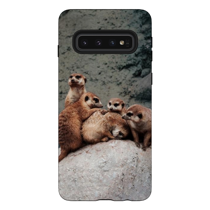 Galaxy S10 StrongFit Meerkat family by Laura Nagel