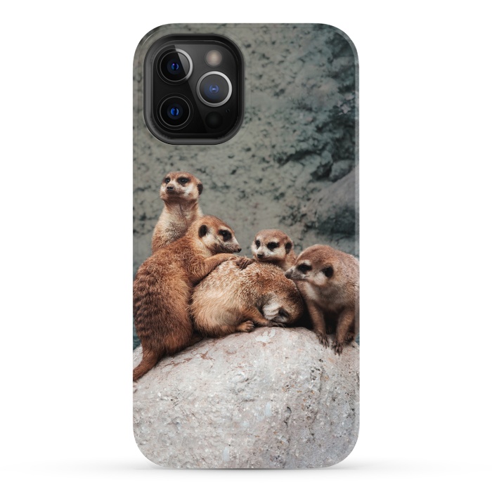 iPhone 12 Pro StrongFit Meerkat family by Laura Nagel