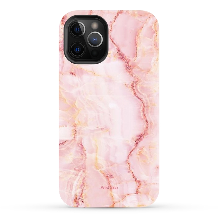 iPhone 12 Pro Max StrongFit Pink Salt Flats by ArtsCase