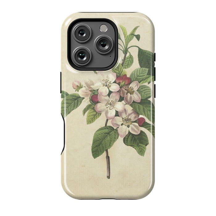 iPhone 16 Pro StrongFit Vintage Apple Blossom Painting by Andrea Haase