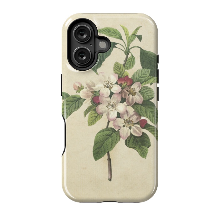 iPhone 16 StrongFit Vintage Apple Blossom Painting by Andrea Haase