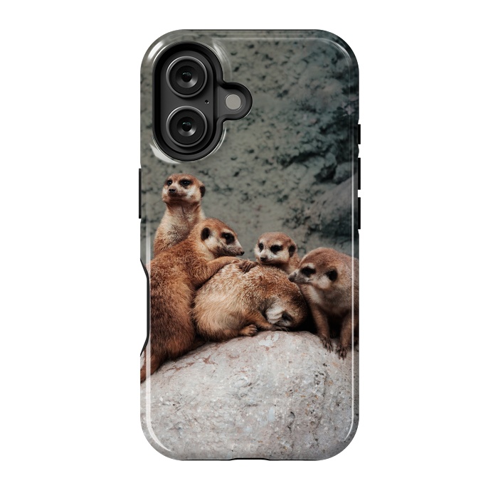 iPhone 16 StrongFit Meerkat family by Laura Nagel