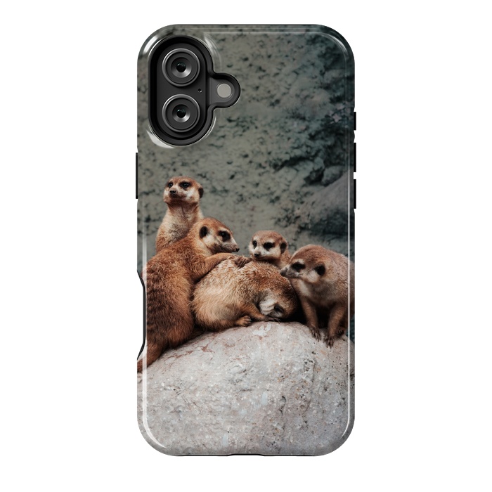 iPhone 16 Plus StrongFit Meerkat family by Laura Nagel